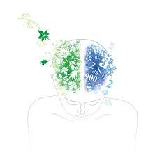 hemisferios creativos