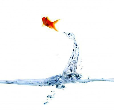 un-pez-de-colores-saltando-fuera-del-agua