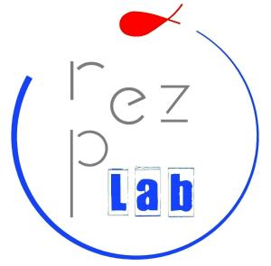 logo2 rezpez